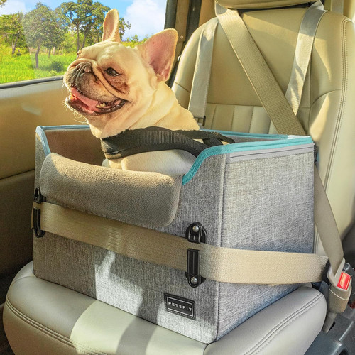 Petsfit dog car - dog, for