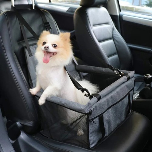 Foldable dog car - foldable,