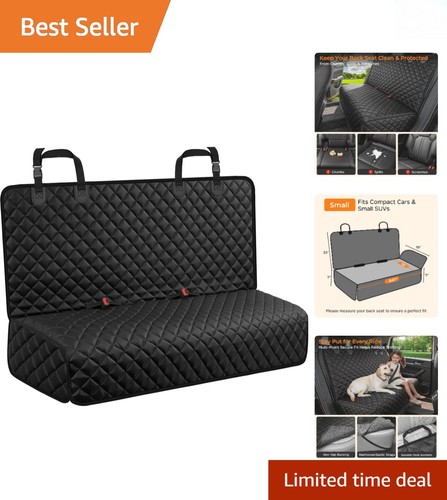 Universal size dog - universal,