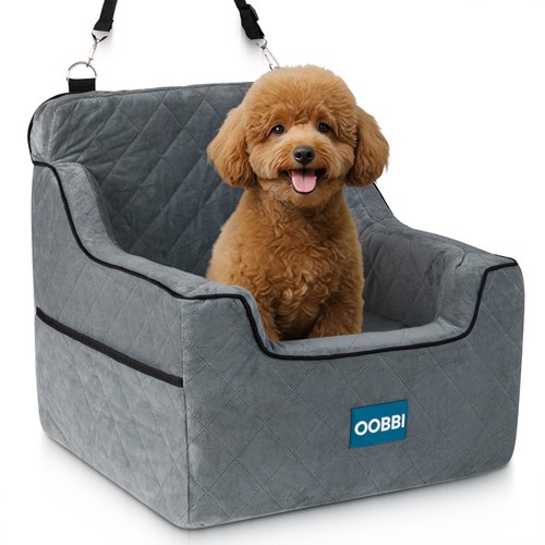 Small dog car - car, with
