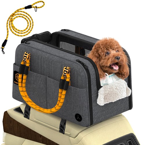 Center console dog - console, car