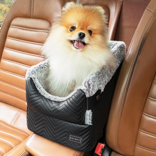 Dog console car - dog,